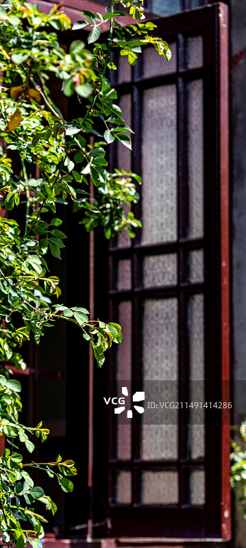 江苏苏州平江路历史文化街区苏州评弹灰墙门窗春色自然建筑景观图片素材