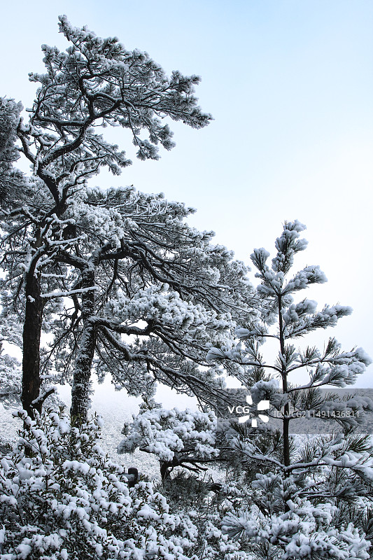 《雾凇》图片素材