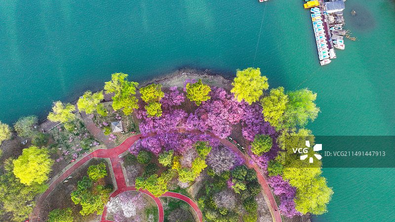 江苏东海：湖光春景美如画图片素材