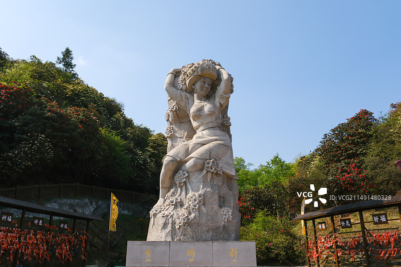 百里杜鹃景区，地球彩带，国家五A级景区，中国贵州毕节大方百里杜鹃景区，杜鹃花海，百里杜鹃金坡景区图片素材