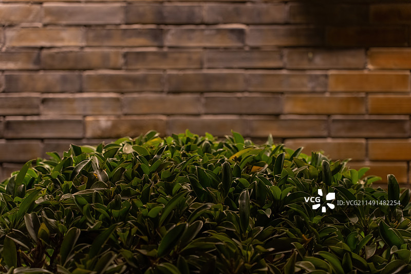 四川德阳旌阳区钟鼓楼广场凹街园林景观特写图片素材