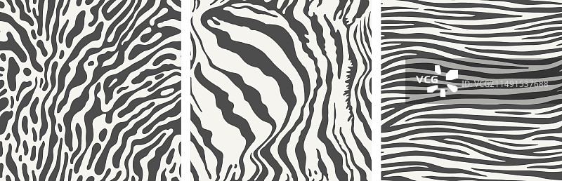 三个无缝斑马纹图案图片素材