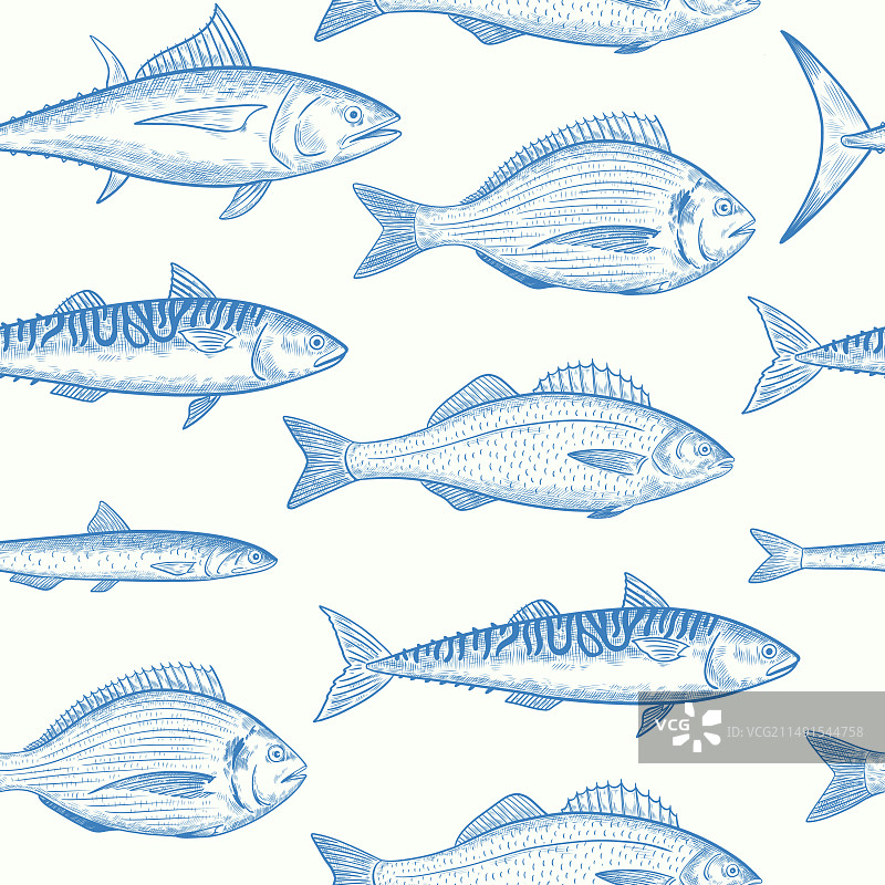 海鱼海鲜无缝图案图片素材