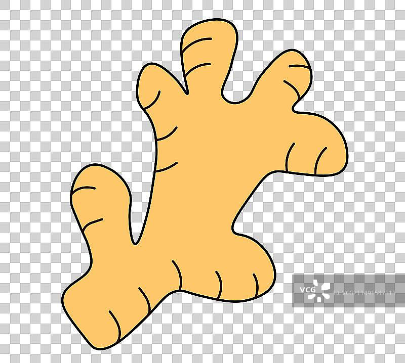 姜根草本香料排毒食品配料图片素材