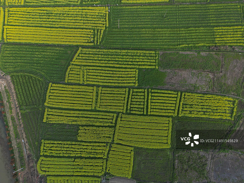 航拍水稻梯田和小路图片素材