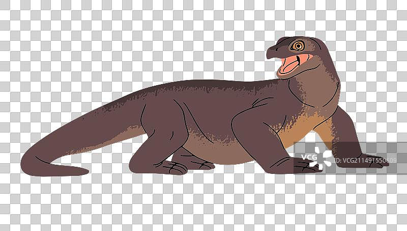 科莫多巨蜥张开嘴巴图片素材