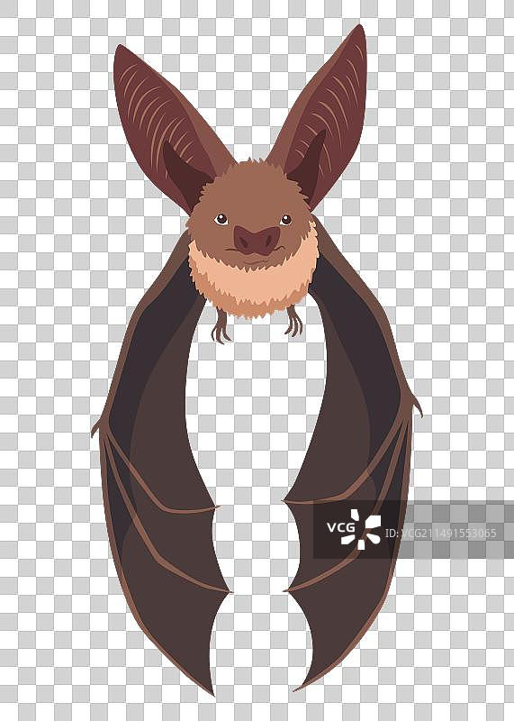 蝙蝠卡通概念剪贴画图片素材