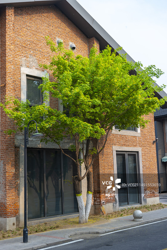 红砖房墙树路灯杆玻璃门窗道路文创园图片素材