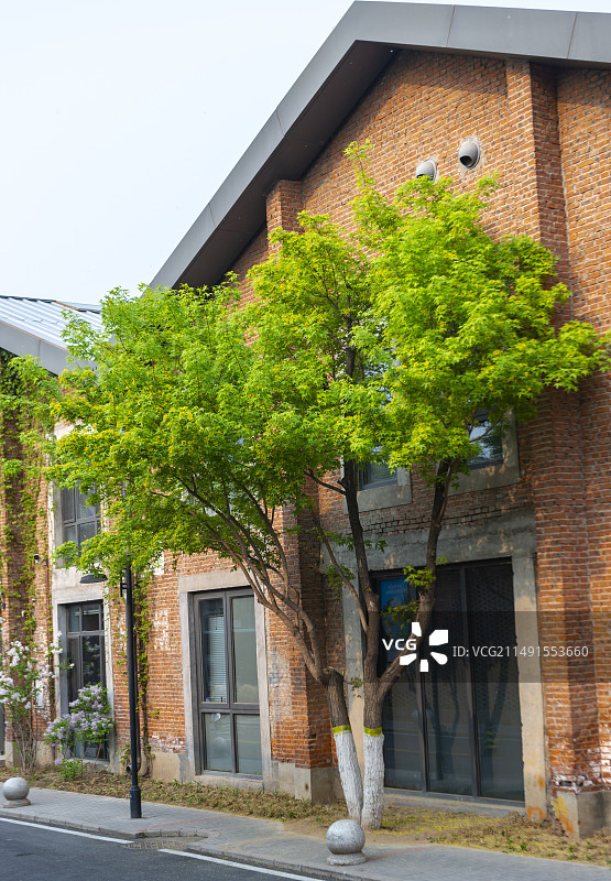红砖房墙树路灯杆玻璃门窗道路文创园图片素材