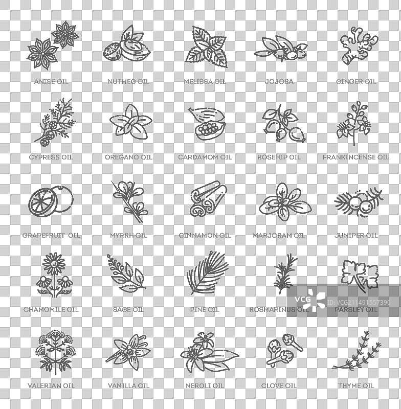 天然成分与精油素材图片素材