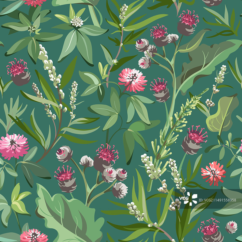 牛蒡三叶草花卉无缝图案图片素材
