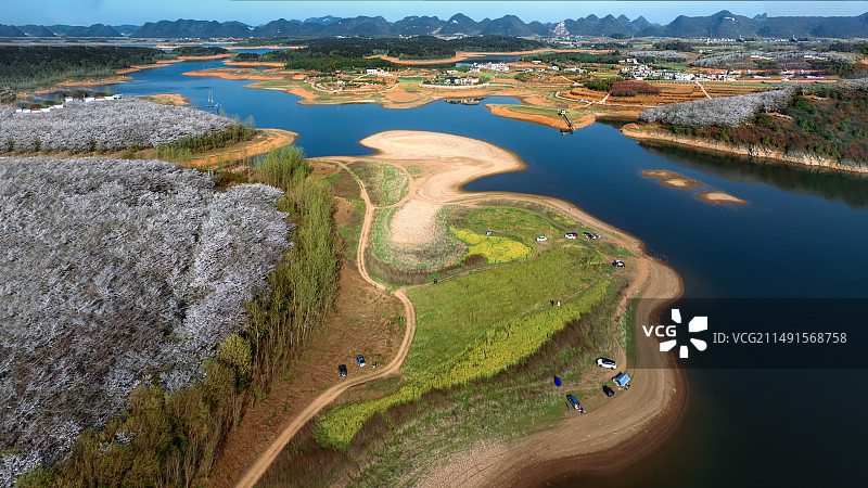 贵州平坝红枫湖（万亩樱花）图片素材