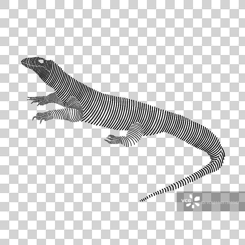 科莫多龙2的简约线条艺术图片素材