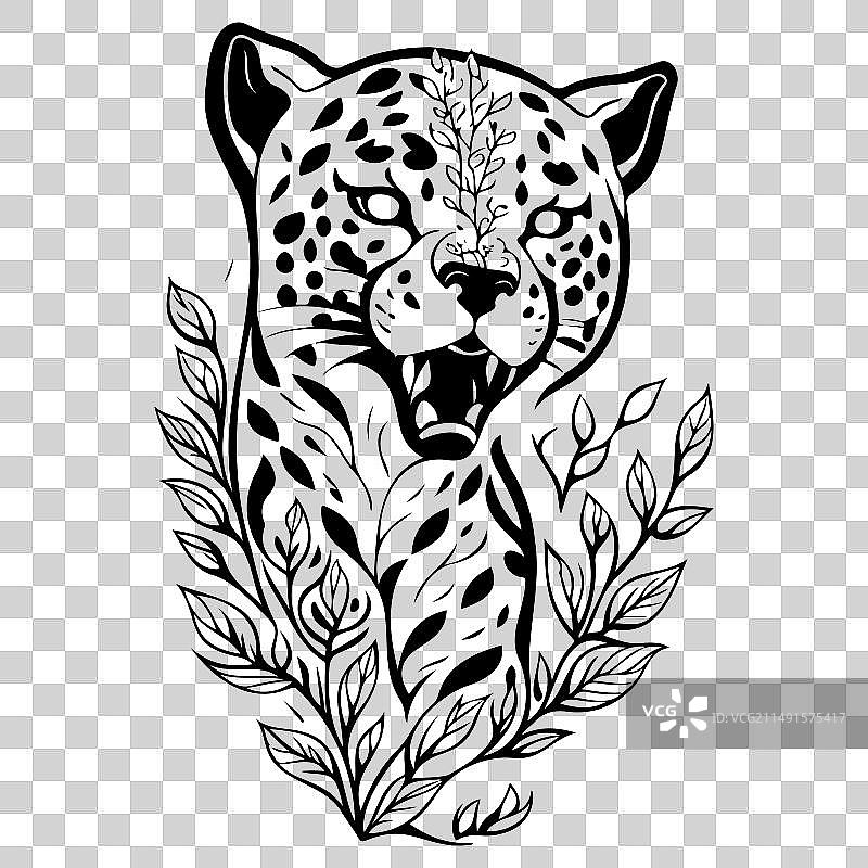 美洲虎花卉手绘素描图片素材