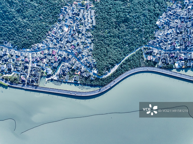 会老堂的红花檵木图片素材