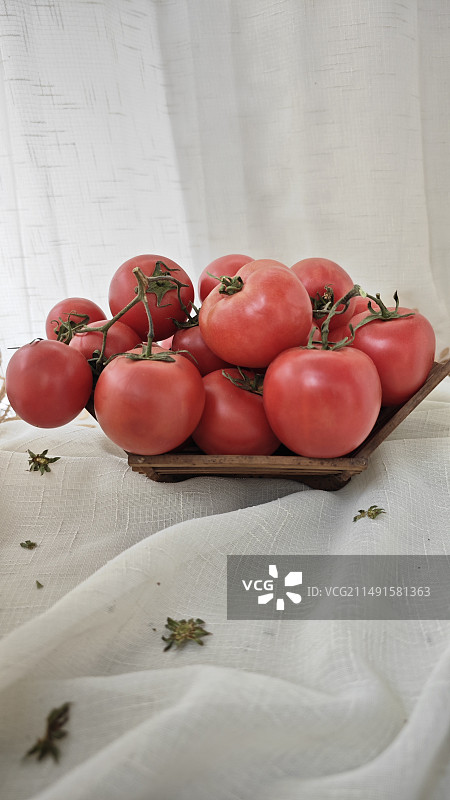 桌上西红柿特写镜头图片素材