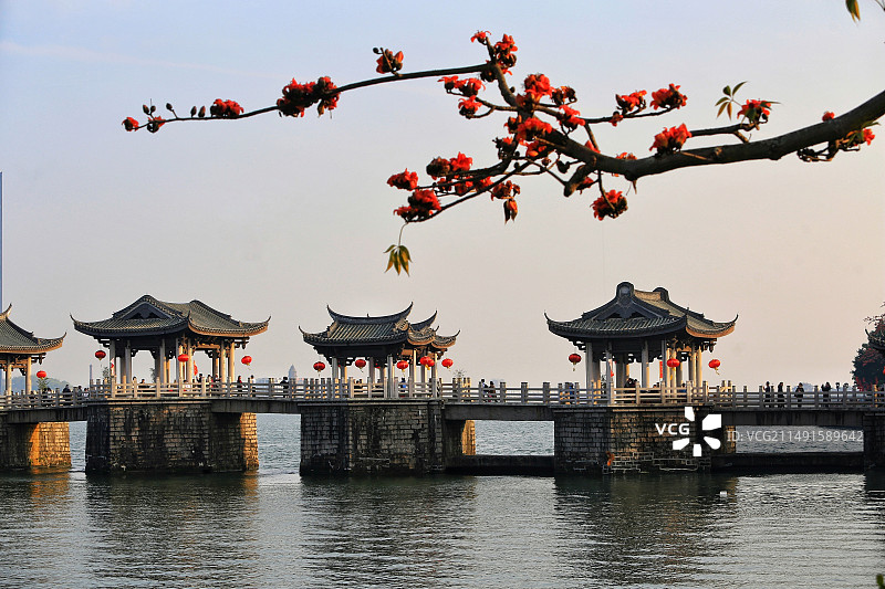 春至广济桥图片素材