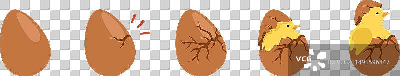 新生小鸡卡通孵化蛋动画图片素材