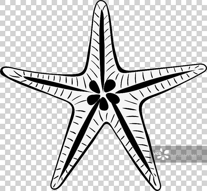 海星黑色线条图标，夏季海滩动物图片素材