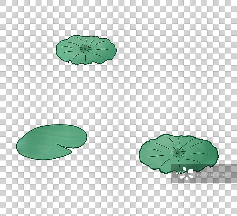 漂浮的绿色荷叶图片素材