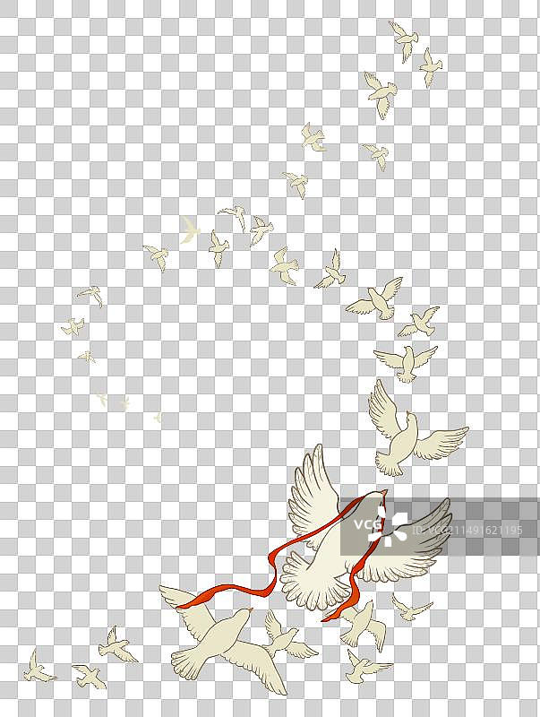 一群和平鸽图片素材