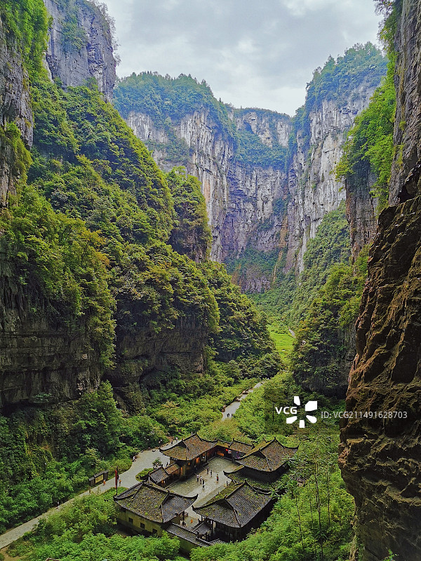 高角度俯瞰树木和山脉图片素材