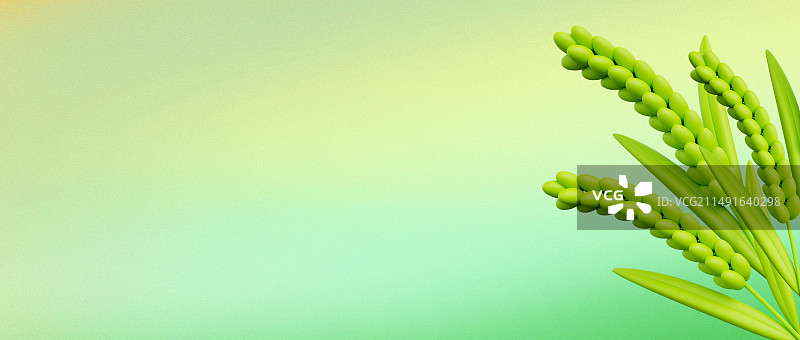 3D渲染的立体小麦春天农作物海报背景图片素材