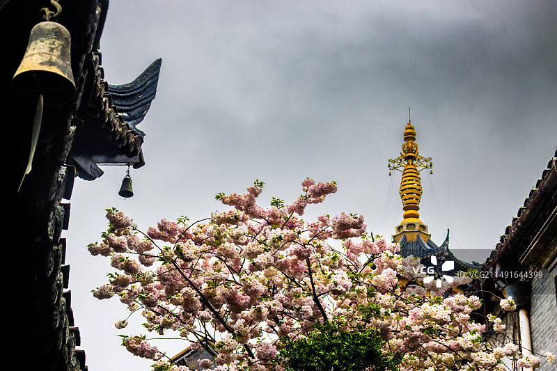 花开定慧寺（如皋）图片素材
