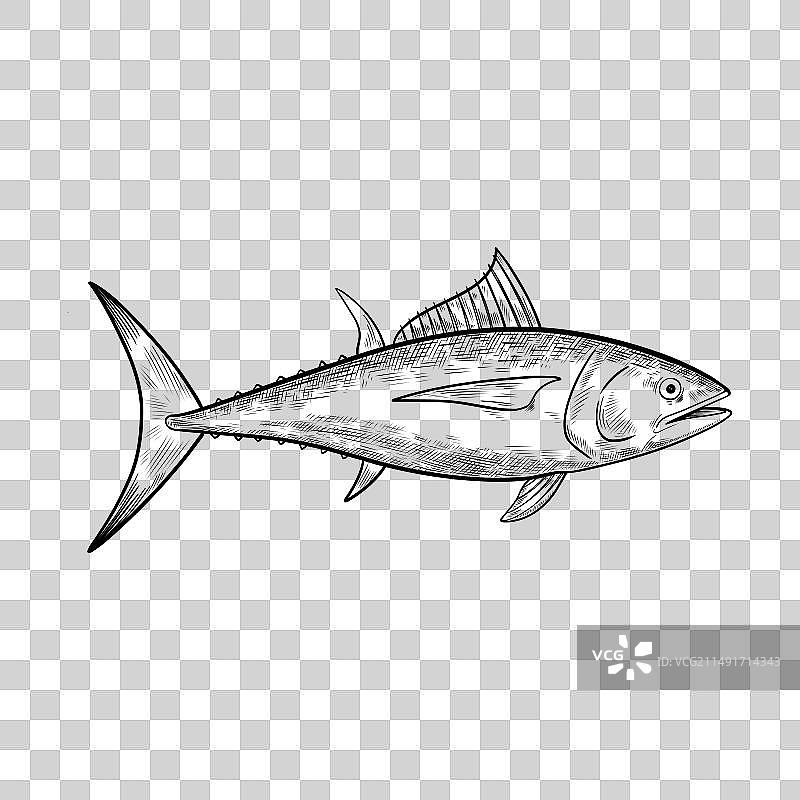 黑色金枪鱼图案设计元素图片素材