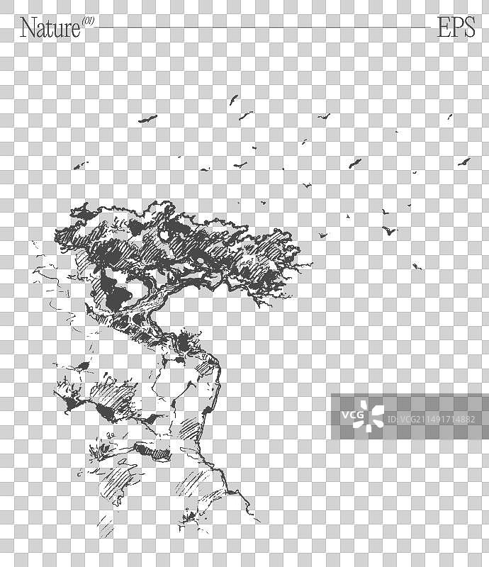 悬崖上的树和飞鸟素描图片素材