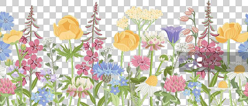 野生花卉无缝图案绘画图片素材
