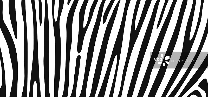 斑马纹线条图案图片素材