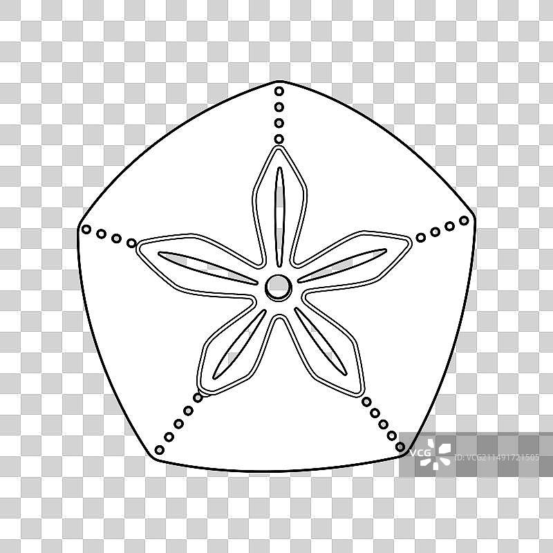 黑白海滩钱币化石图片素材