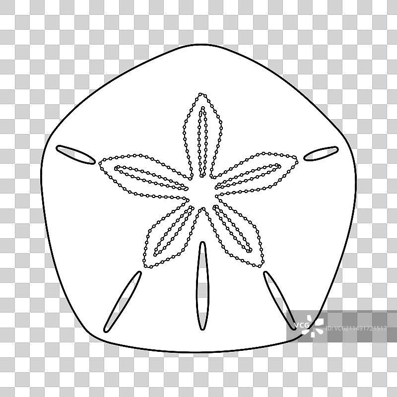 黑白海滩钱币化石图片素材