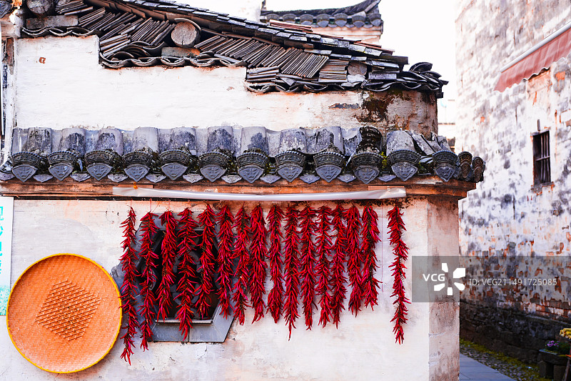 婺源江湾火红的辣椒图片素材