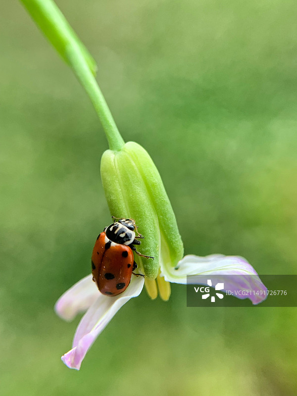 休息一会图片素材
