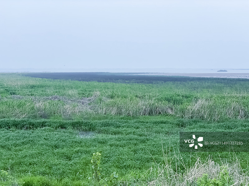 武汉沉湖湿地公园--春天里的乡村图片素材