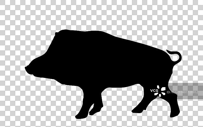 疣猪轮廓剪影图片素材