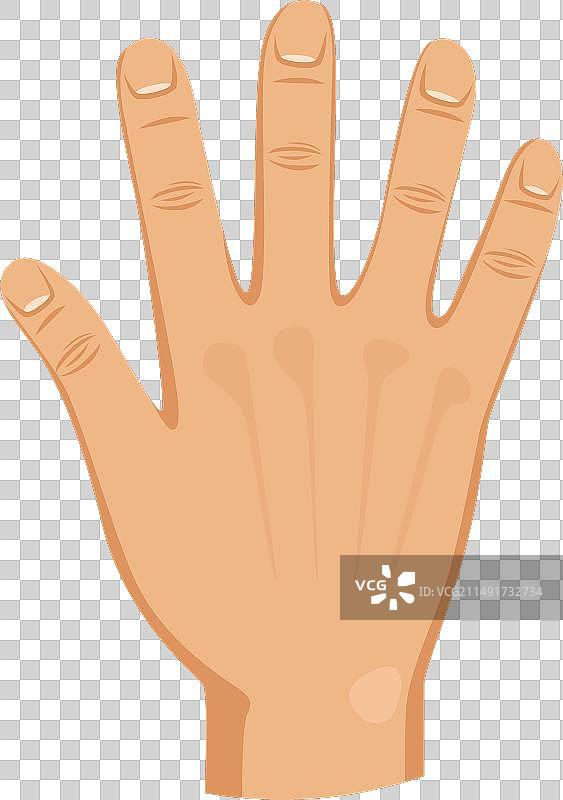 手掌颜色成人手臂局部图片素材