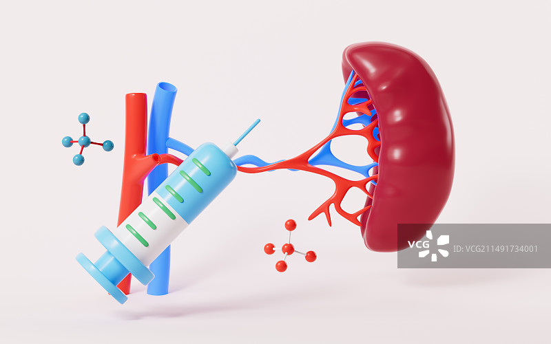 人体内脏脾脏器官解剖图3D渲染图片素材