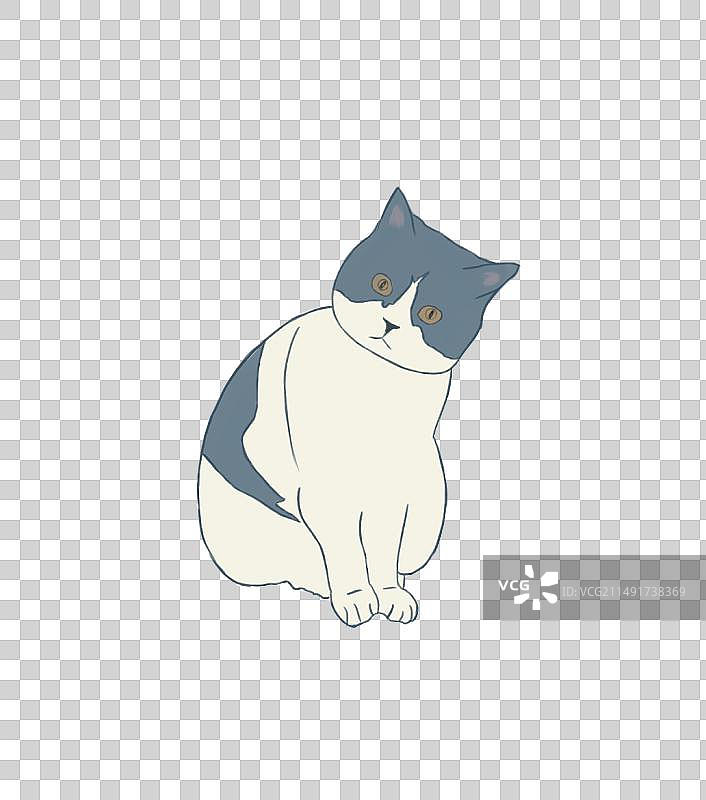 呆呆的小花猫图片素材