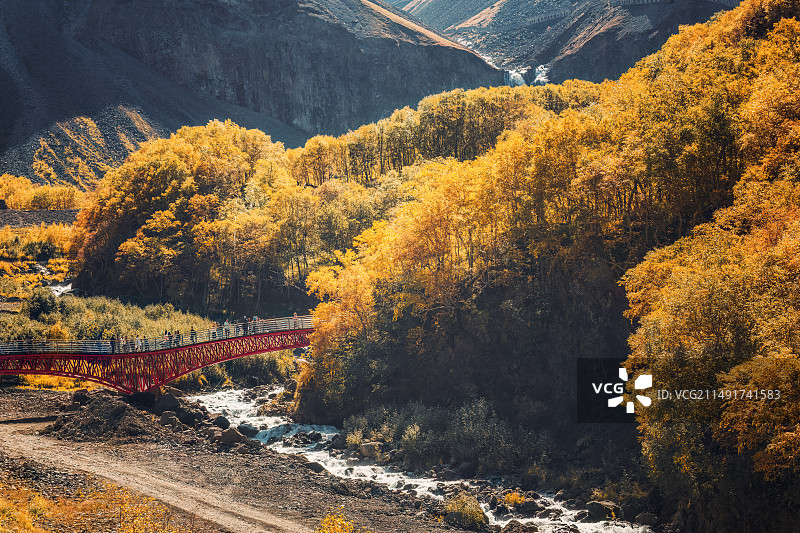 秋天的长白山北坡层林尽染图片素材