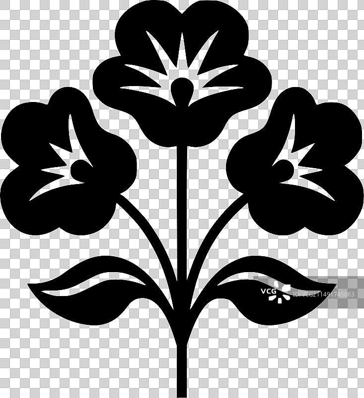 花卉高品质标识T恤图案图片素材