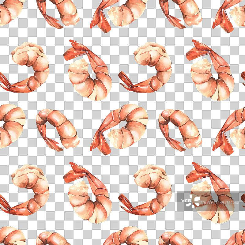 白色背景中的带尾煮虾仁图片素材