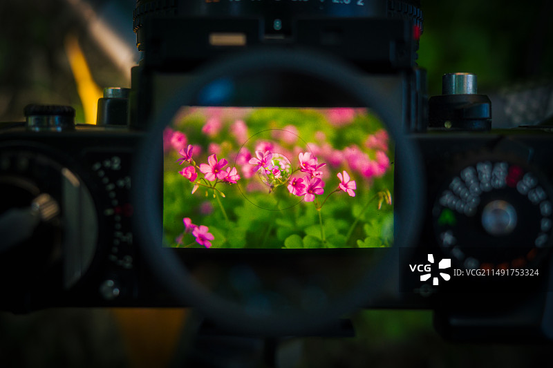 春天捕捉器图片素材