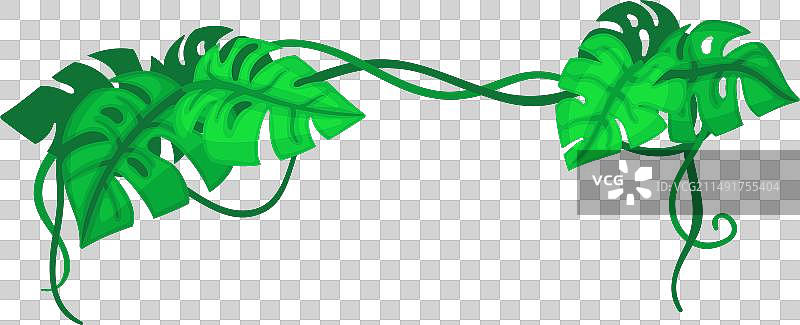 龟背竹叶装饰边框卡通角图片素材