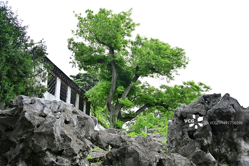 春天的苏州园林环秀山庄图片素材