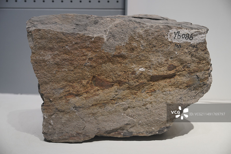 角砾长石砂岩图片素材