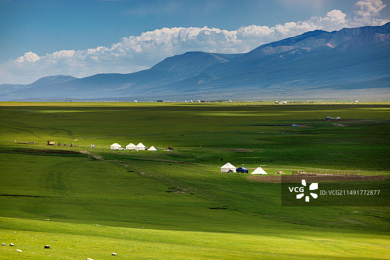 八音布鲁克草原图片素材