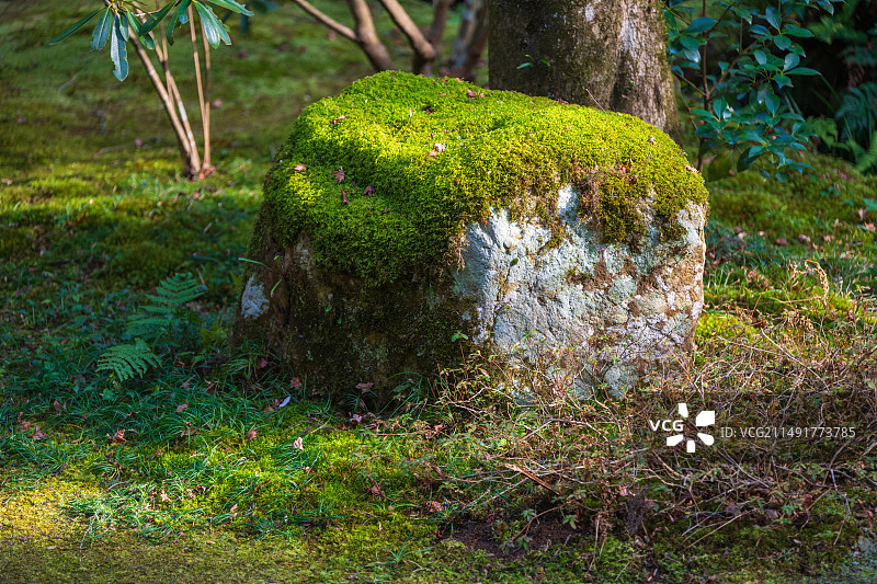 日本京都三千院佛教寺庙的古典园林风光图片素材